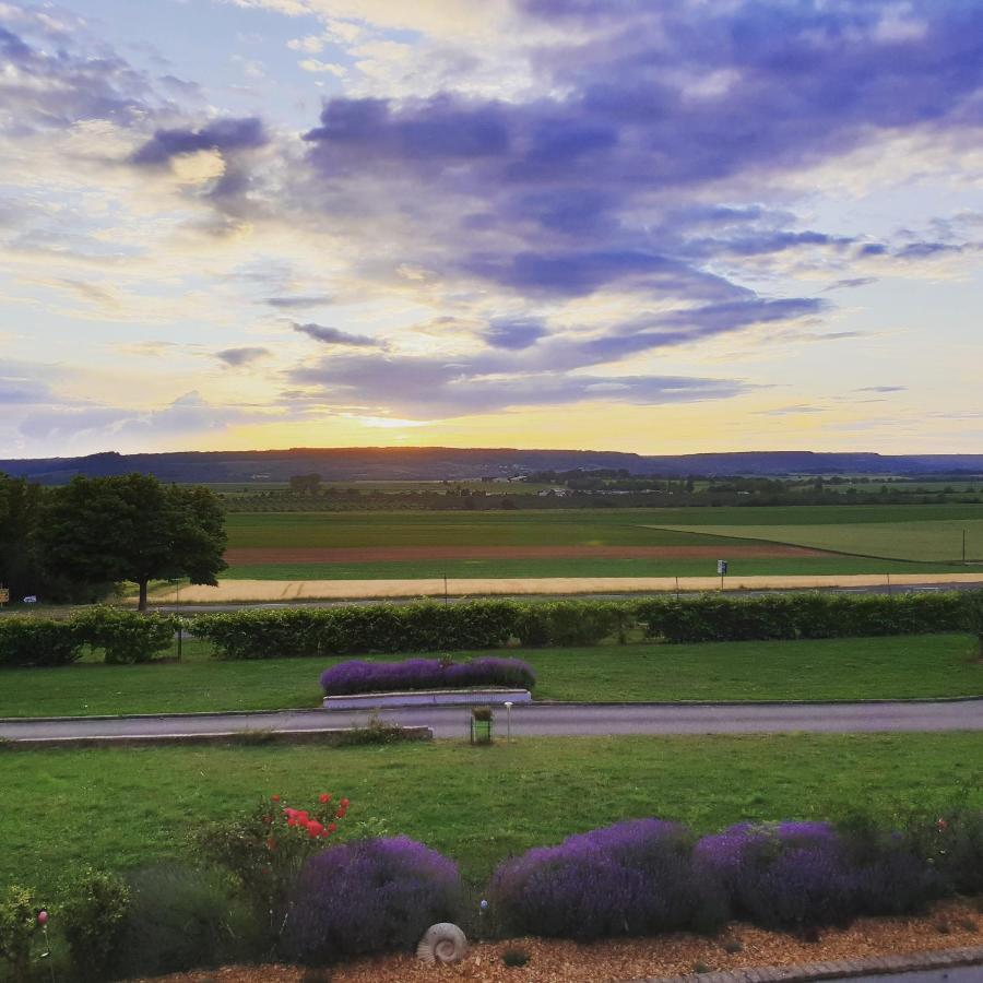Logis Hotel- Restaurant La Haie Des Vignes Seminaires Et Evenementiel Allain Dış mekan fotoğraf
